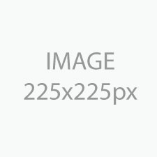 img-225x225px