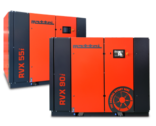 T3_Pagina serie_serie correlate_RVXi 55-90